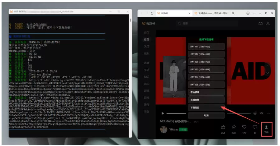 Github热门工具,视频号下载神器又来了!一键注入下载按钮,轻松下载,使用便捷wx_channel-资源之家