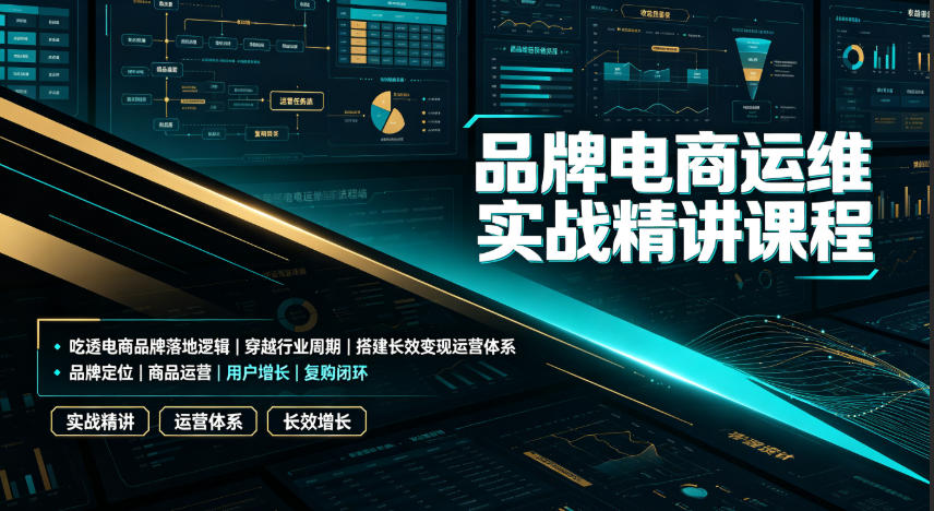 品牌电商运维实战精讲课程|吃透电商品牌落地逻辑、穿越行业周期、搭建长效变现运营体系-资源之家